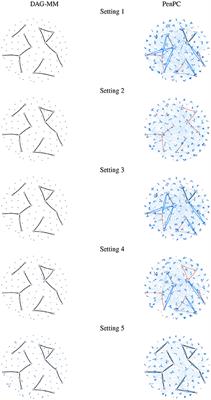 Learning Subject-Specific Directed Acyclic Graphs With Mixed Effects Structural Equation Models From Observational Data